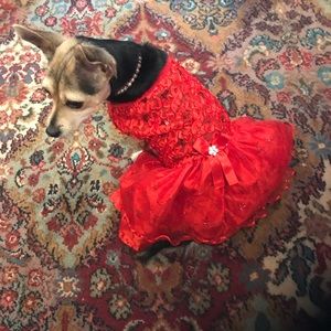 Special occasion dress